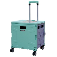 Xe kéo hàng đi chợ rút gọn FujiHome ST-250