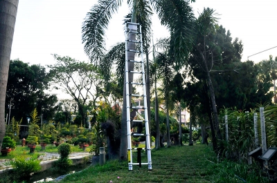 Kéo dài sử dụng thang nhôm Xtend&Climb 830